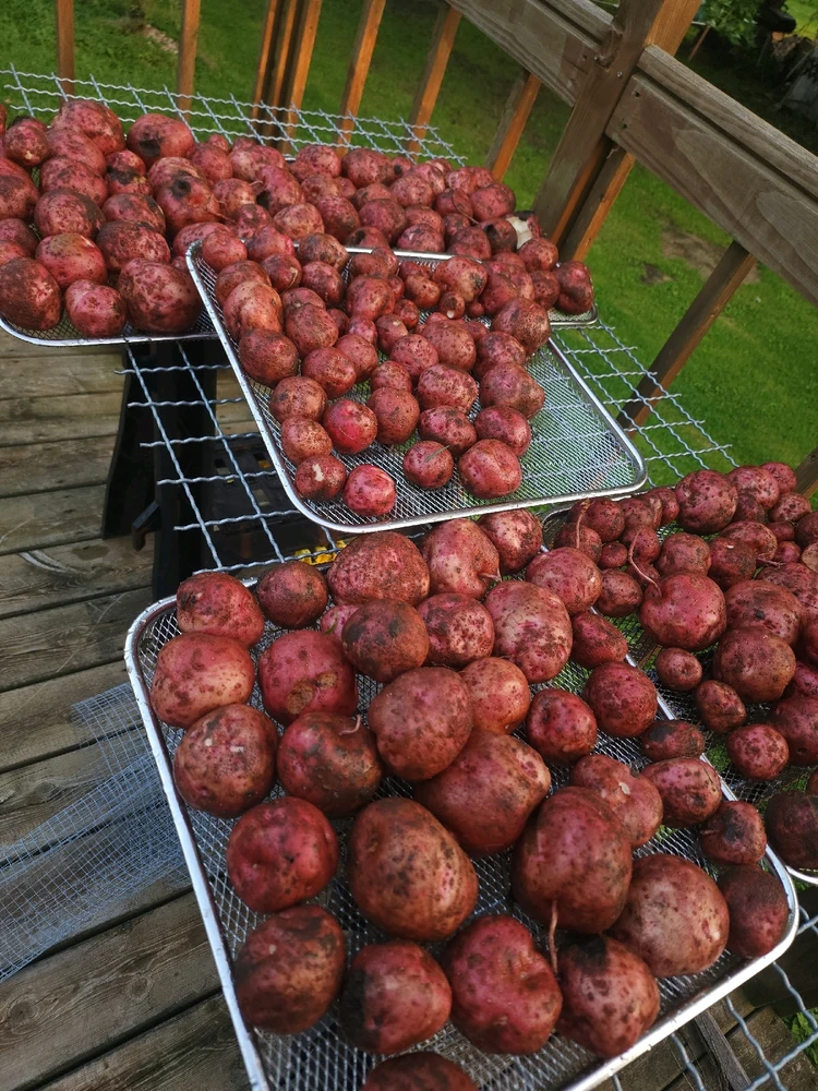 GIF uploaded by Brandon