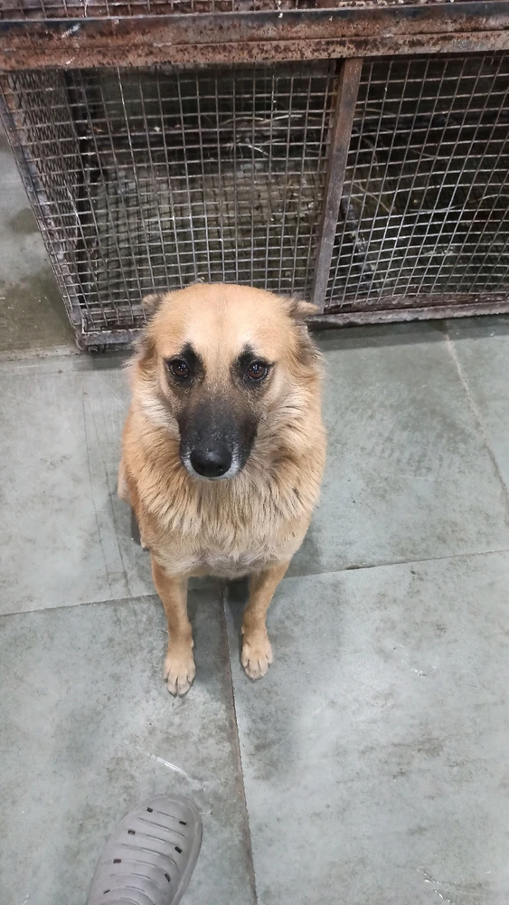 GIF uploaded by Viraj