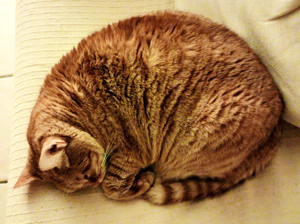 GIF diunggah dening Michalis