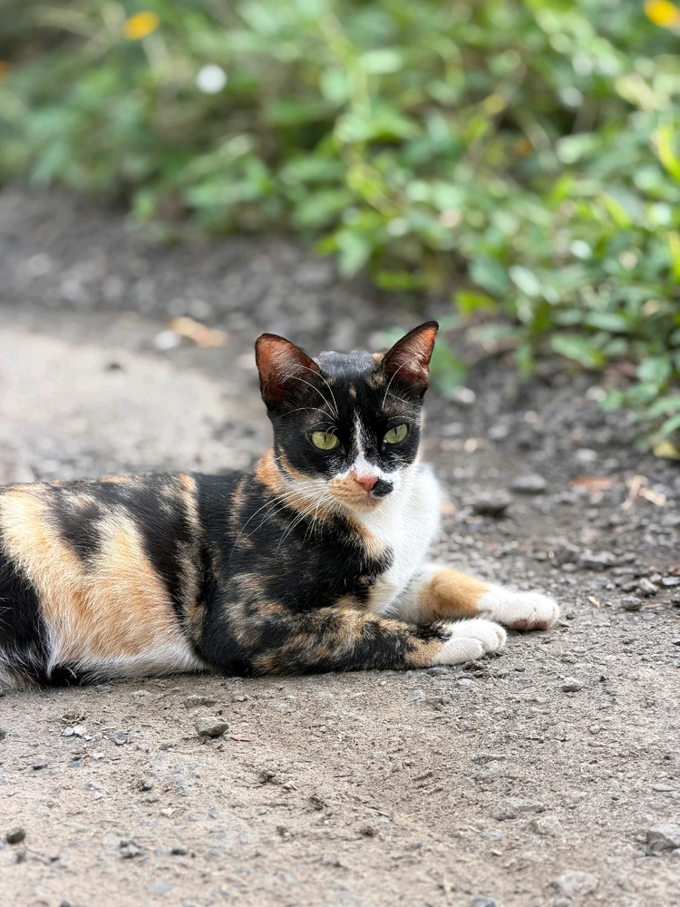 Gambar diunggah dening JAy pAtel