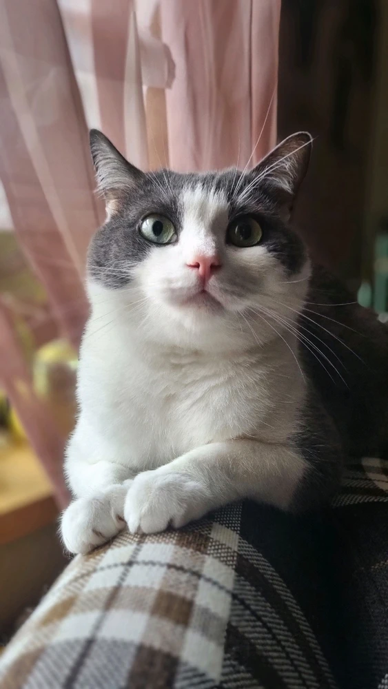 GIF hochgeladen von Rainer