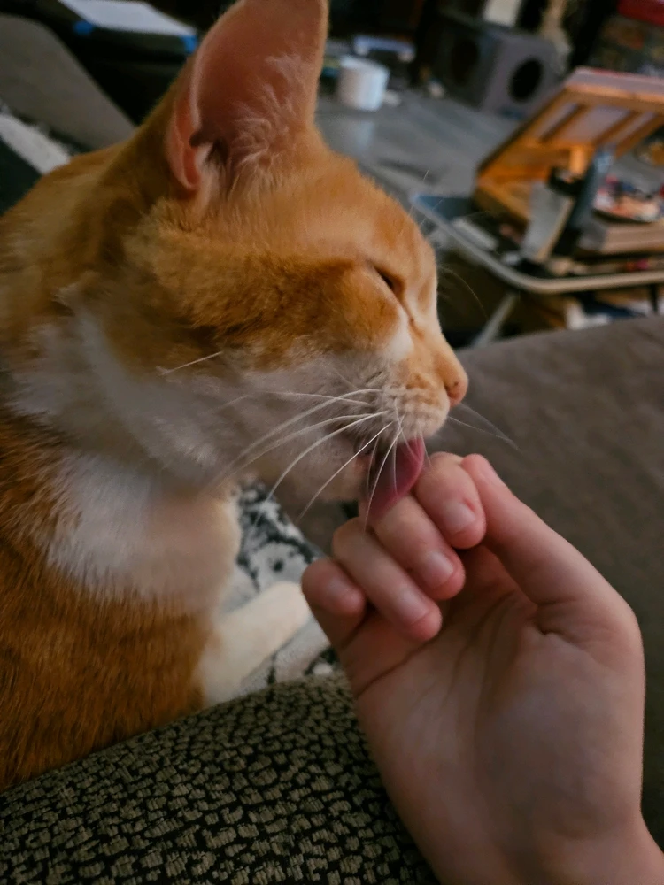 GIF diunggah dening Mackenzie (Nightshade)