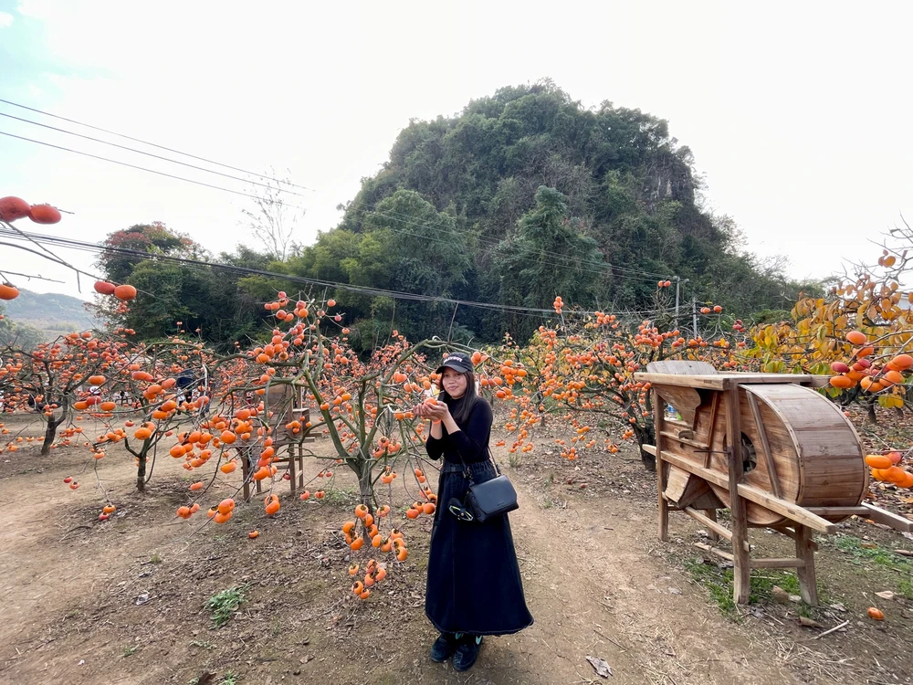 GIF uploaded by Jaylee