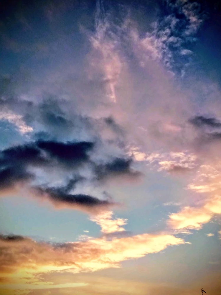 Image uploaded by 💜J💜o💜e💜y💜