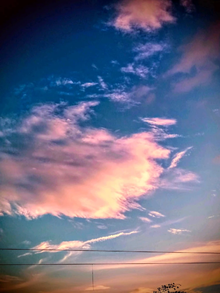 Image uploaded by 💜J💜o💜e💜y💜