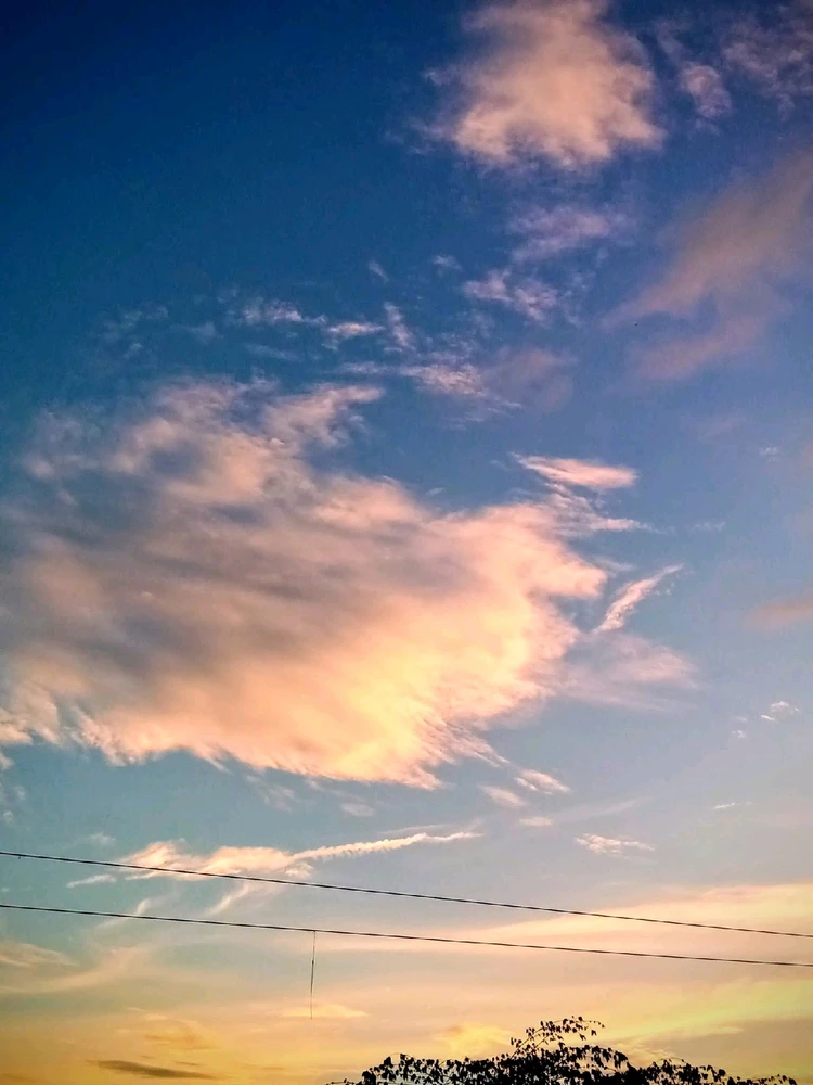 Image uploaded by 💜J💜o💜e💜y💜