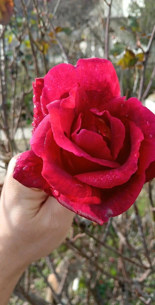 GIF diunggah dening Kas