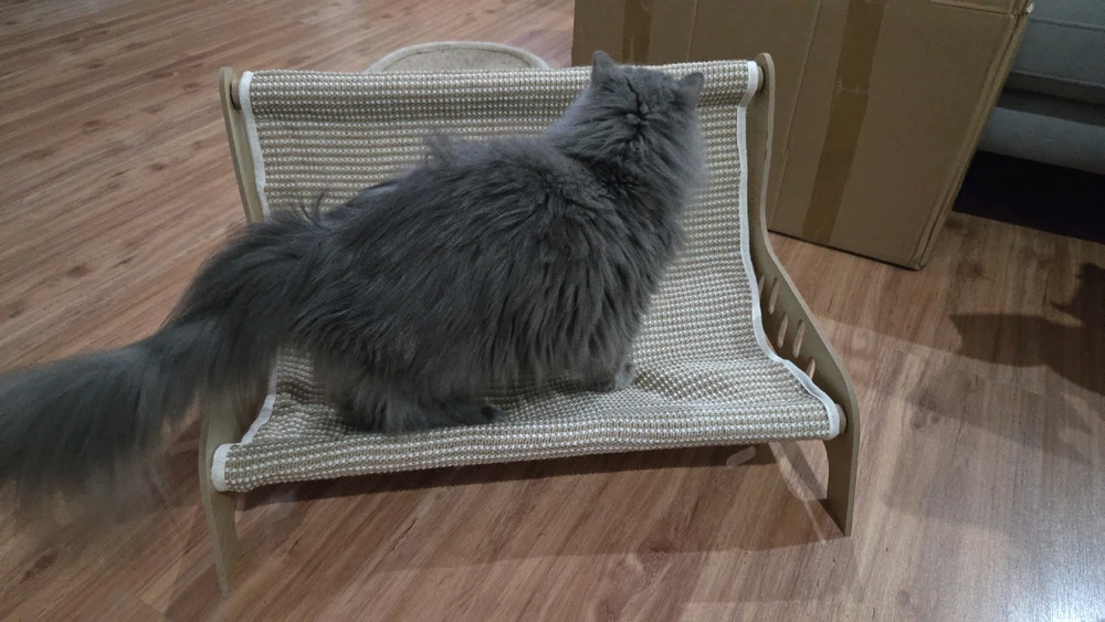 GIF diunggah dening Aron