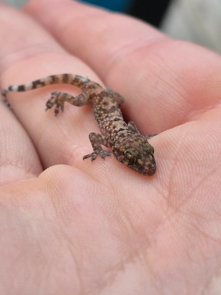 GIF uploaded by Wyatt