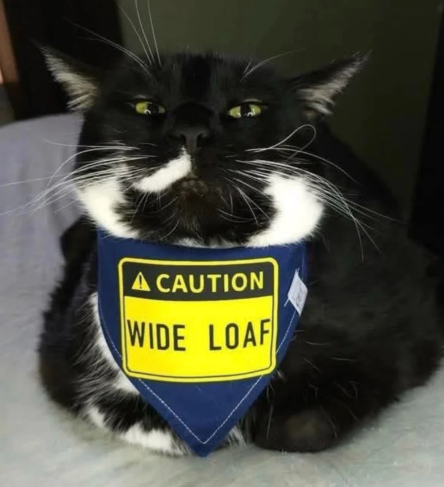 GIF diunggah dening bellissima