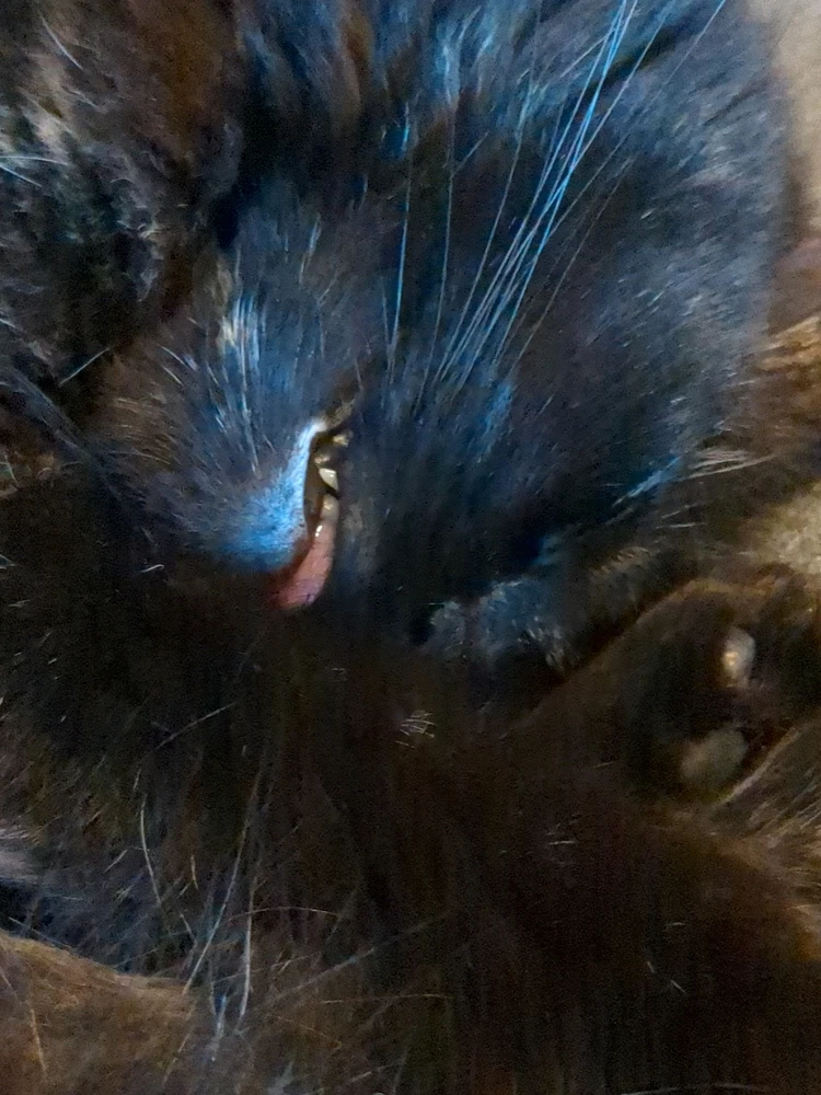 GIF diunggah dening Keith