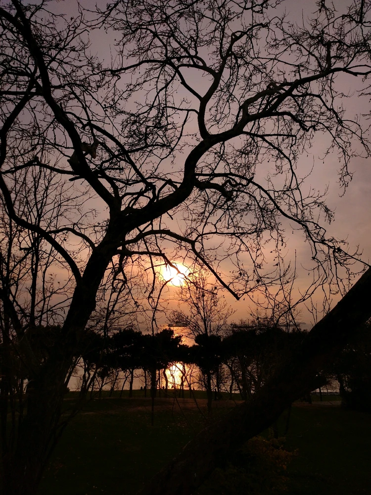 GIF uploaded by Yellow