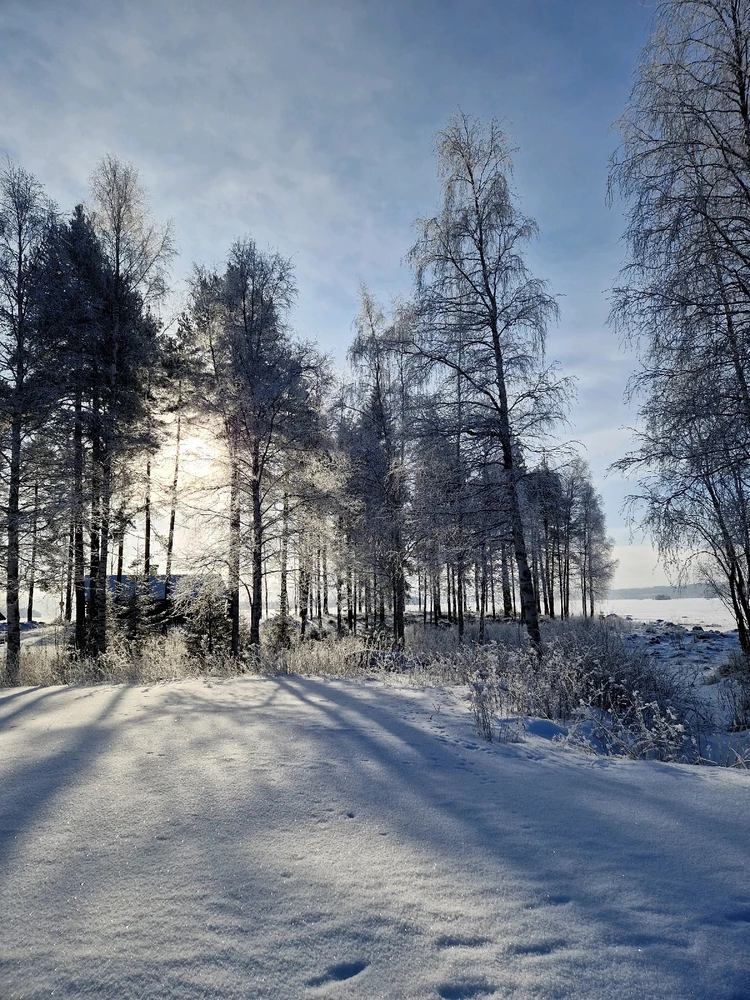 GIF uploaded by Aurora
