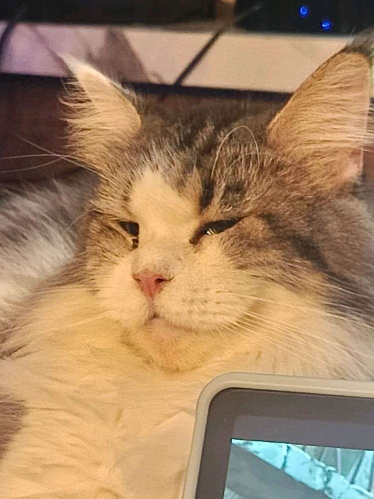 GIF uploaded by Neja