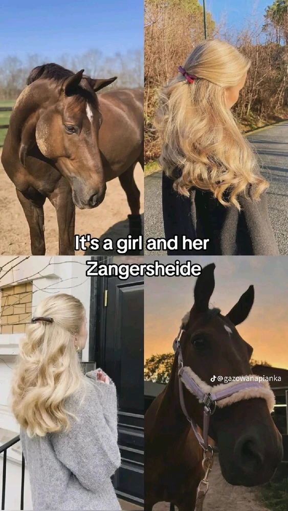 Image uploaded by Soo