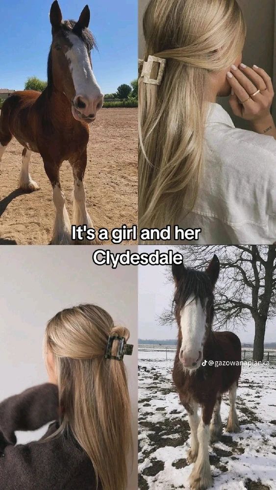 Image uploaded by Soo