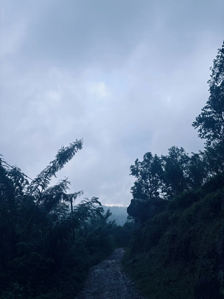 GIF uploaded by Sara’s