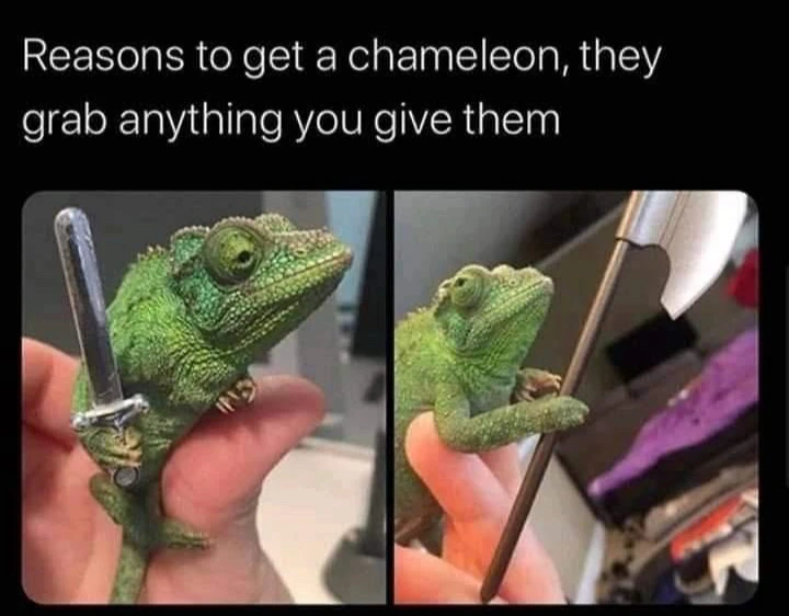 GIF uploaded by 🌙✨ℳℯ𝓁𝒶𝓃𝒾𝓆𝓊ℯ✨🌙