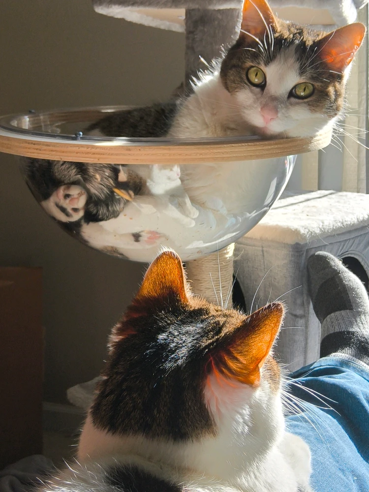 GIF uploaded by Bruce