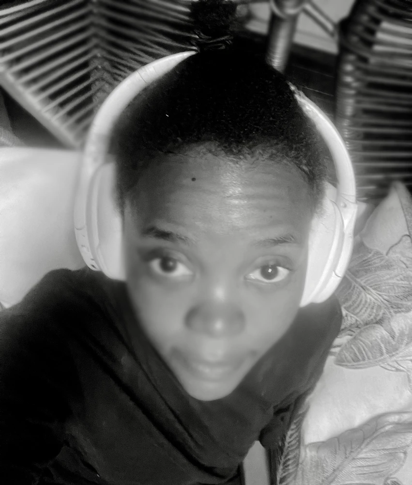 Duab xa los ntawm palesa
