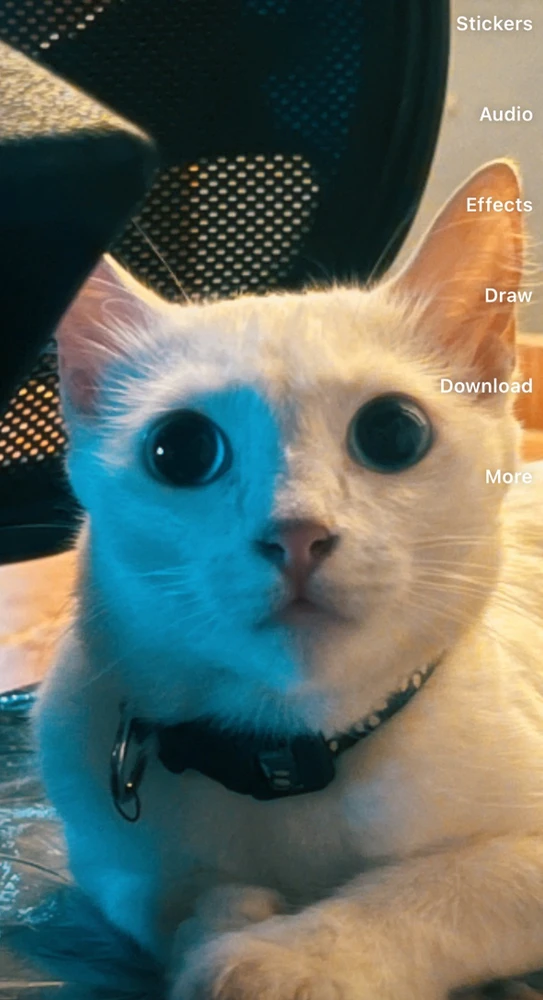 GIF diunggah dening Suvin sundaran