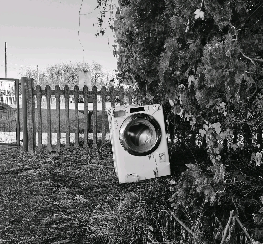 GIF caricata da Giulio