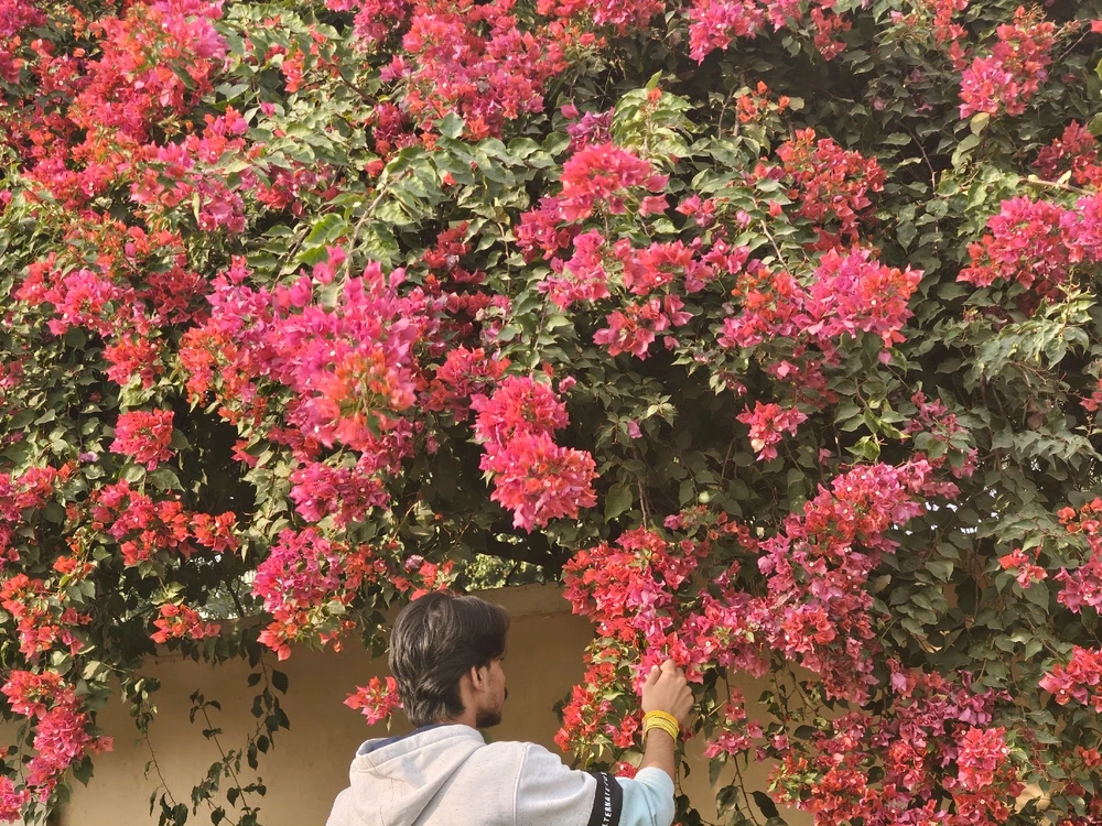 GIF sent inn af Aditya K. Sontra