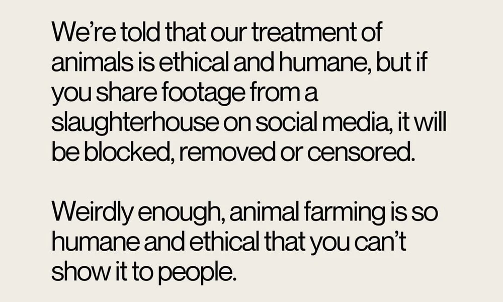 GIF hochgeladen von Tara