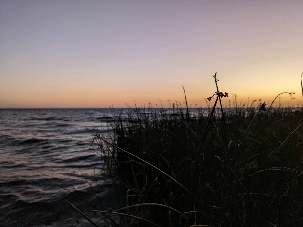 GIF загрузил Александр