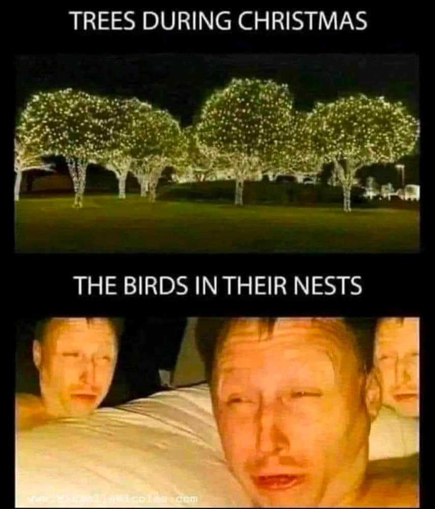 GIF uploaded by Crystal