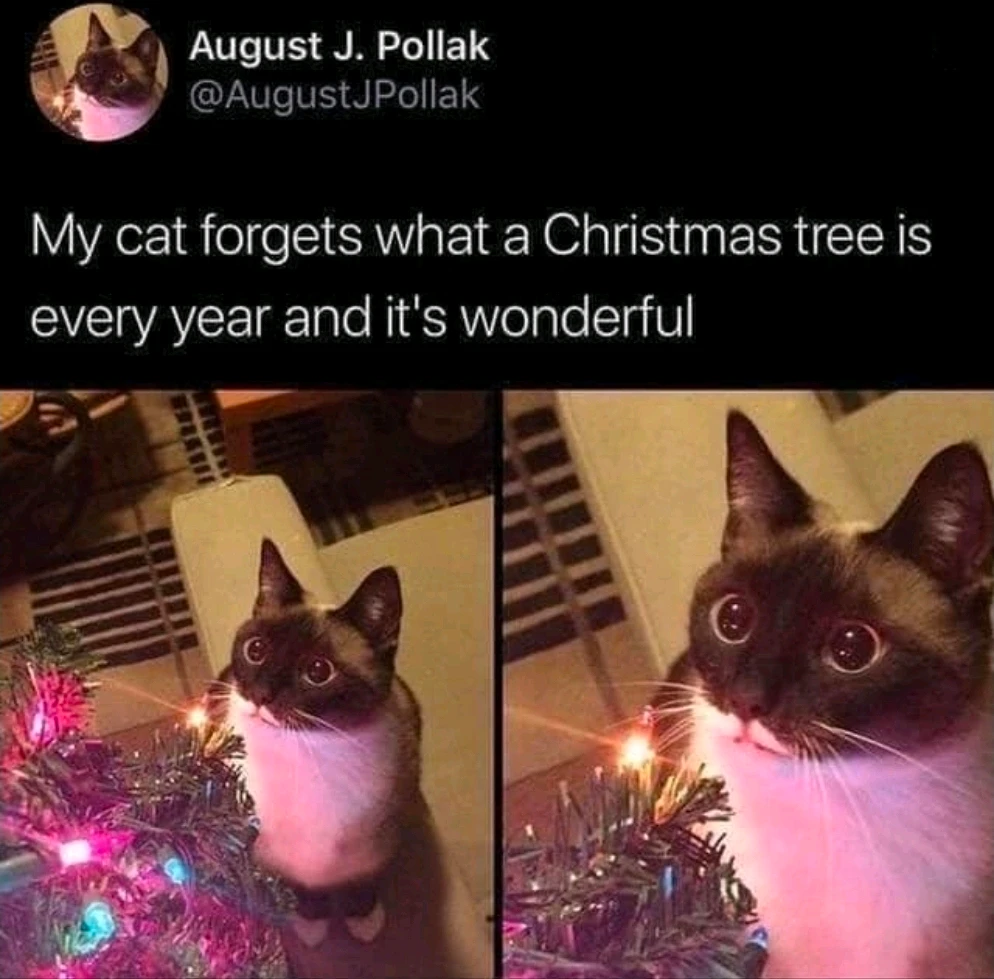 GIF uploaded by Crystal