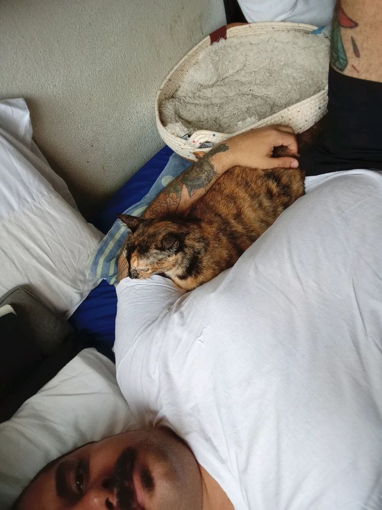 GIF enviado por Bernardo