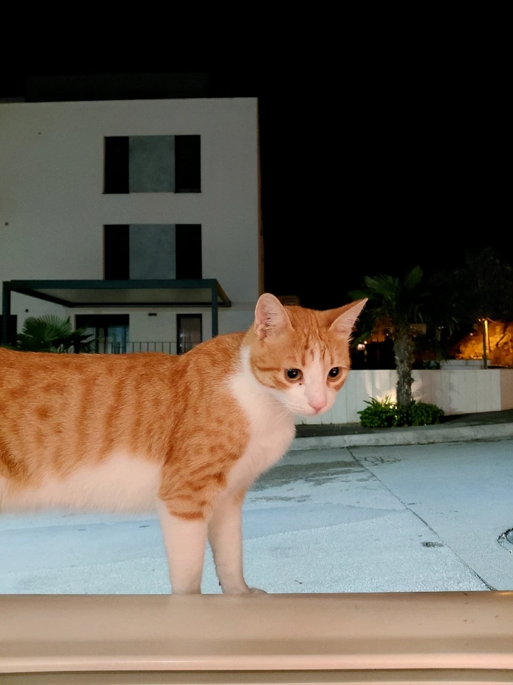 GIF diunggah dening balázs