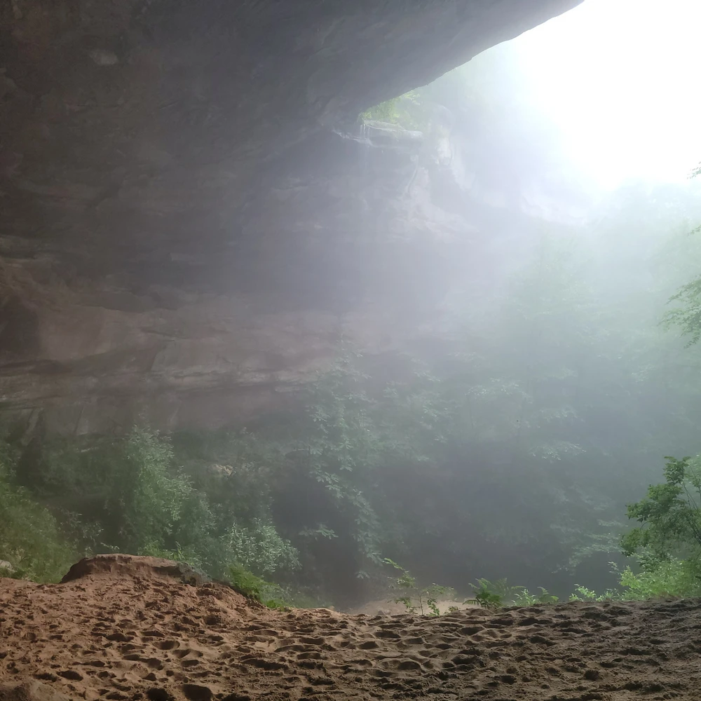 Image uploaded by Scott