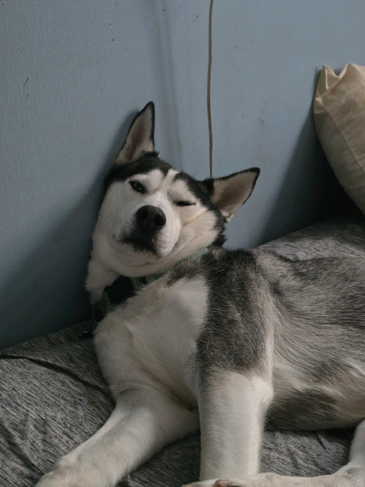 GIF uploaded by Austin