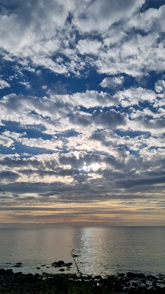 GIF subido por Rocio