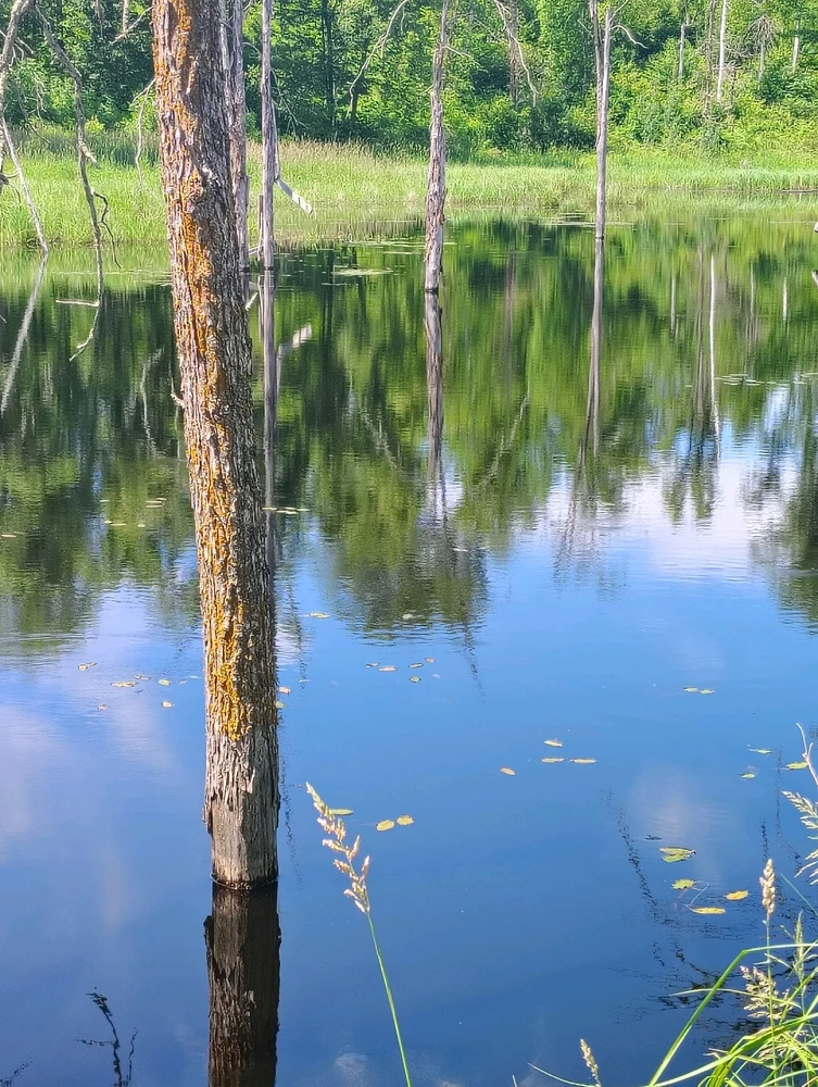 GIF uploaded by Scott