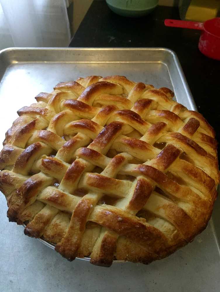 GIF uploaded by Phillip