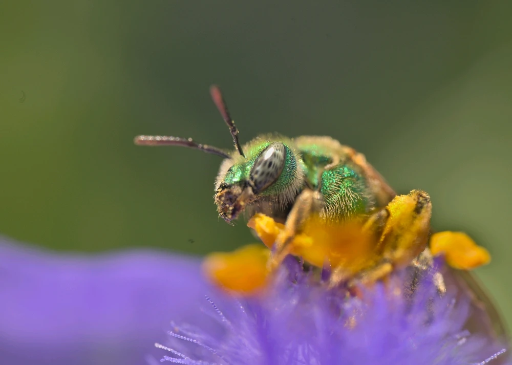 GIF uploaded by Logan