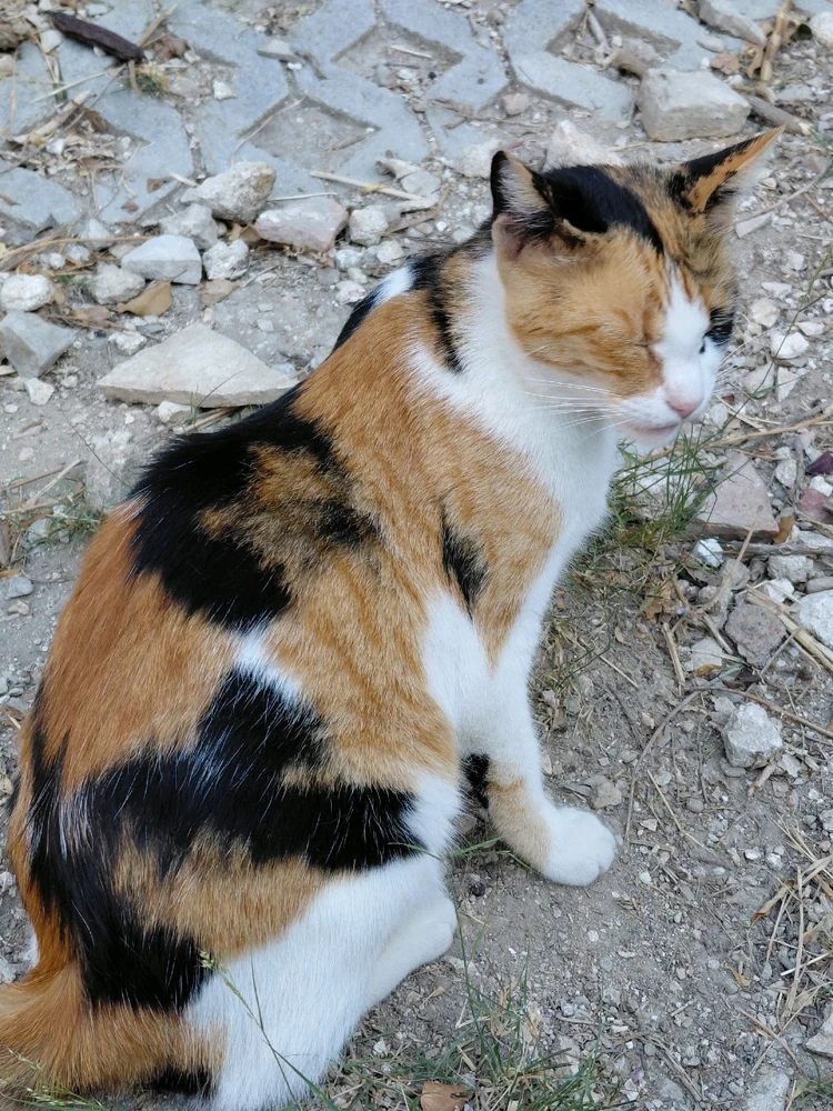 GIF diunggah dening balázs