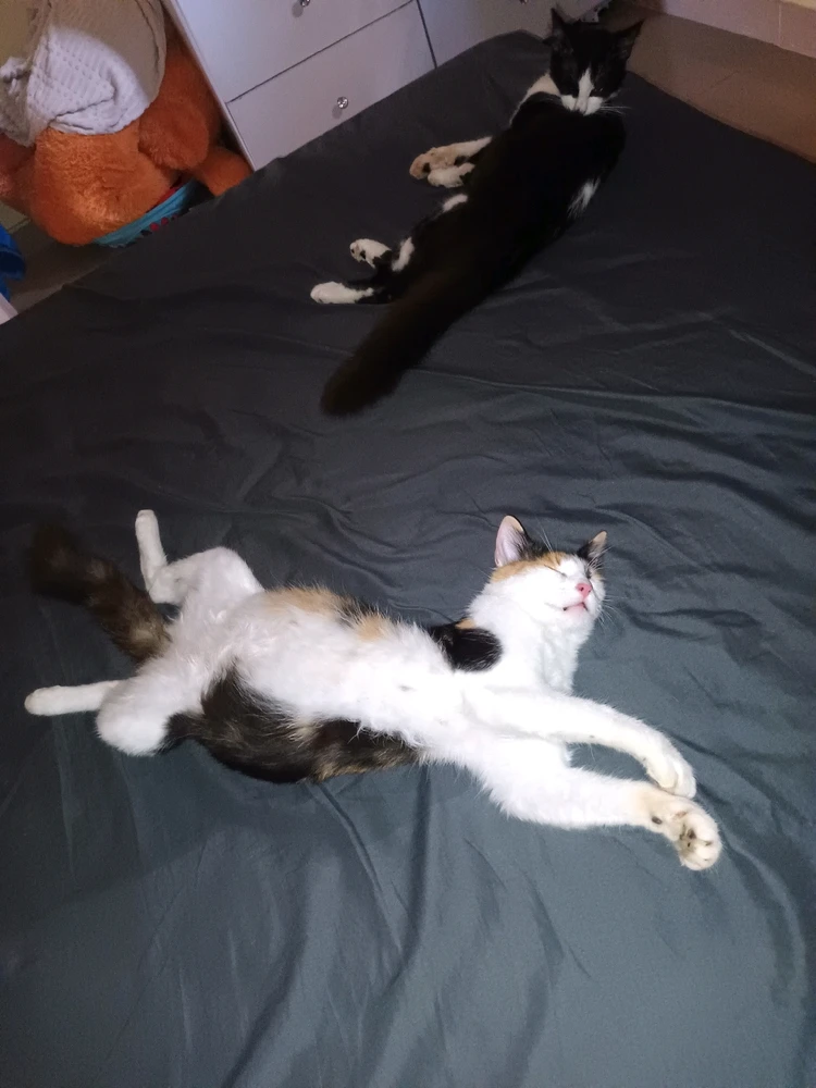 GIF diunggah dening Exi