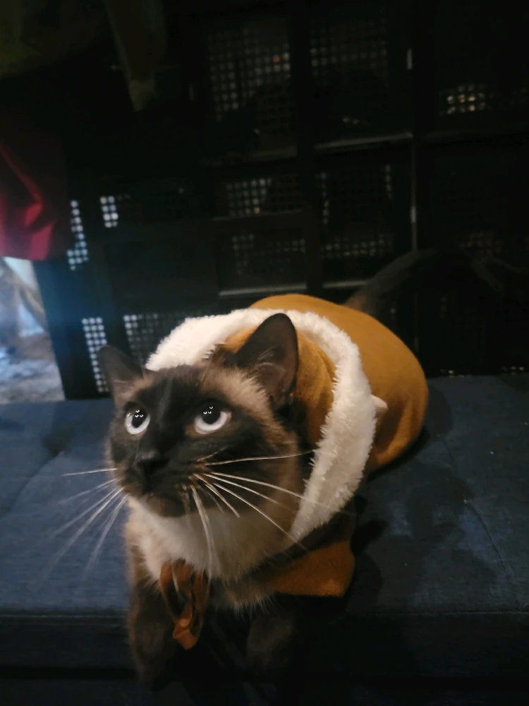 GIF diunggah dening JESUS