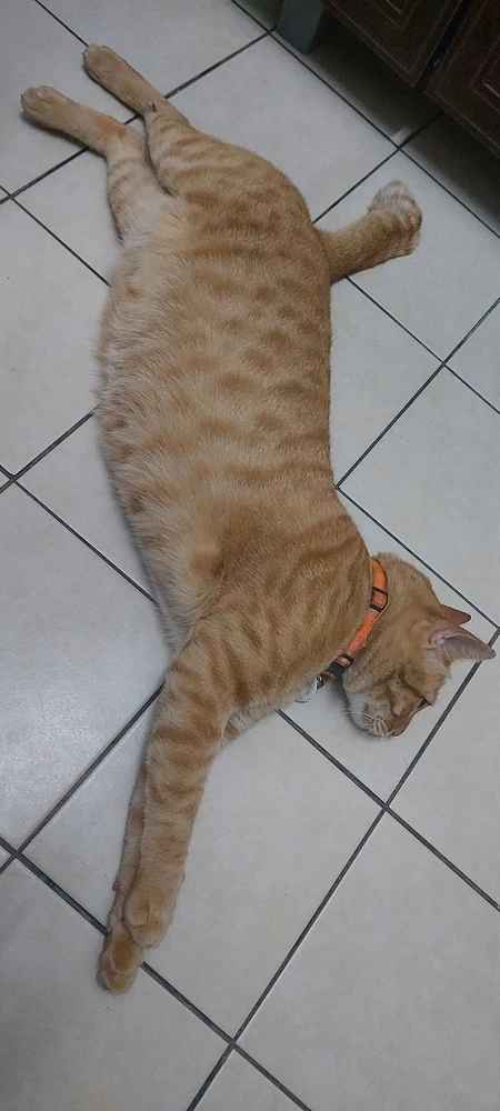 GIF diunggah dening Aruzia