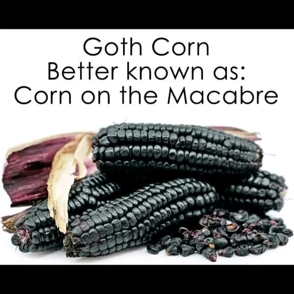 GIF uploaded by Dmitri