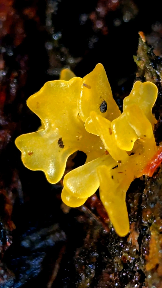 GIF diunggah dening Chris