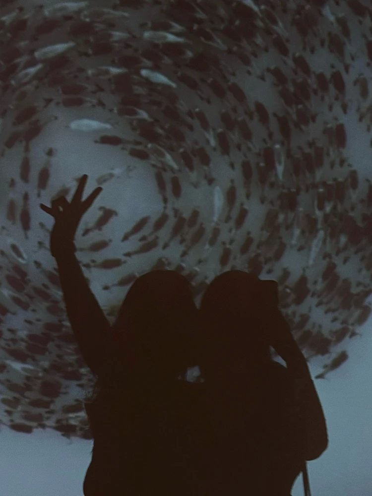 Image uploaded by Nata