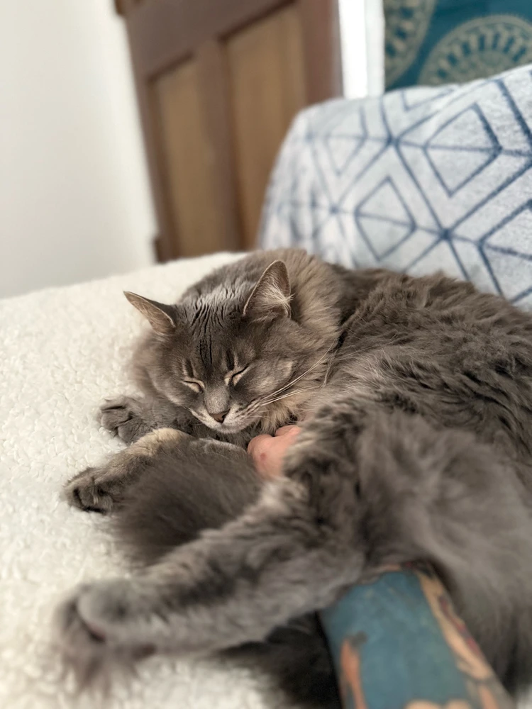 GIF uploaded by Bradley