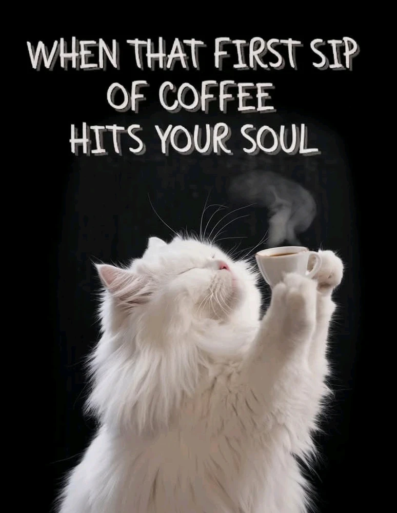 GIF uploaded by Georgina