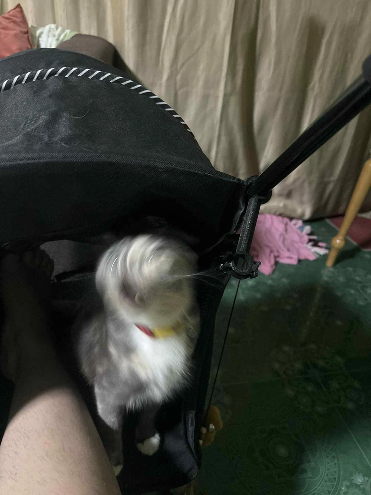 GIF uploaded by Pat♡