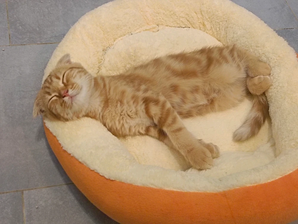 GIF uploaded by Varun